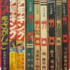 Thumbnail of related posts 161