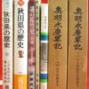 Thumbnail of related posts 065