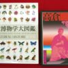 Thumbnail of related posts 064