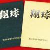 Thumbnail of related posts 139