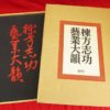 Thumbnail of related posts 133