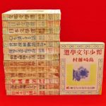 Thumbnail of related posts 035
