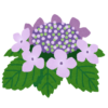 Thumbnail of related posts 102