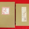 Thumbnail of related posts 009